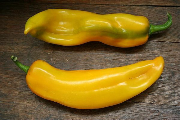 Poivron_jaune.jpg