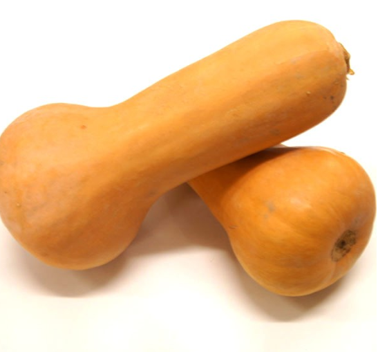 courge_butternut.png