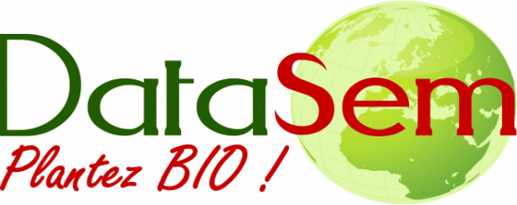 logo_datasem.png